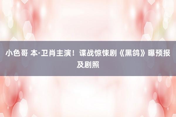小色哥 本·卫肖主演！谍战惊悚剧《黑鸽》曝预报及剧照