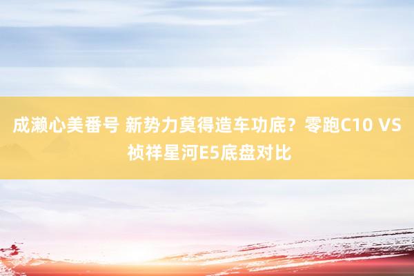 成濑心美番号 新势力莫得造车功底？零跑C10 VS 祯祥星河E5底盘对比