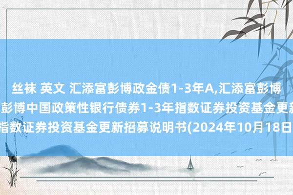 丝袜 英文 汇添富彭博政金债1-3年A,汇添富彭博政金债1-3年C: 汇添富彭博中国政策性银行债券1-3年指数证券投资基金更新招募说明书(2024年10月18日更新)