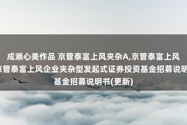 成濑心美作品 京管泰富上风夹杂A,京管泰富上风夹杂C: 京管泰富上风企业夹杂型发起式证券投资基金招募说明书(更新)