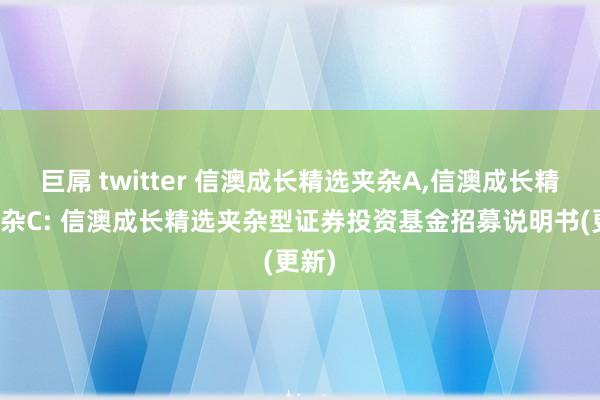 巨屌 twitter 信澳成长精选夹杂A,信澳成长精选夹杂C: 信澳成长精选夹杂型证券投资基金招募说明书(更新)