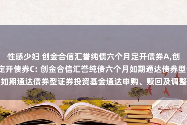 性感少妇 创金合信汇誉纯债六个月定开债券A,创金合信汇誉纯债六个月定开债券C: 创金合信汇誉纯债六个月如期通达债券型证券投资基金通达申购、赎回及调整业务的公告