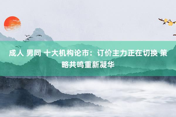 成人 男同 十大机构论市：订价主力正在切换 策略共鸣重新凝华