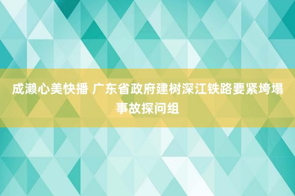 成濑心美快播 广东省政府建树深江铁路要紧垮塌事故探问组