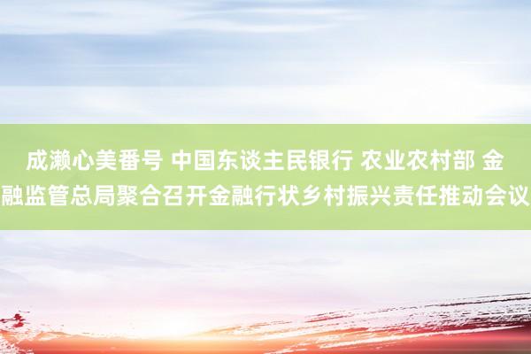 成濑心美番号 中国东谈主民银行 农业农村部 金融监管总局聚合召开金融行状乡村振兴责任推动会议