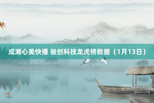 成濑心美快播 骏创科技龙虎榜数据（1月13日）
