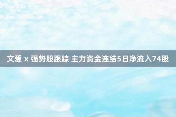 文爱 x 强势股跟踪 主力资金连结5日净流入74股