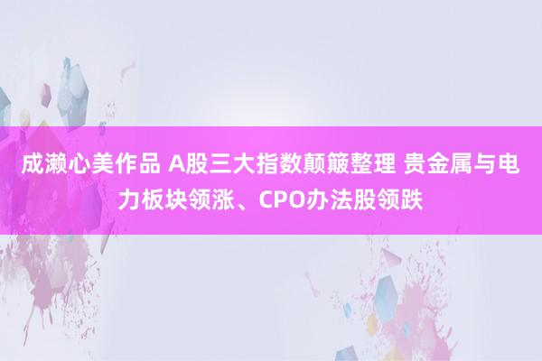 成濑心美作品 A股三大指数颠簸整理 贵金属与电力板块领涨、CPO办法股领跌