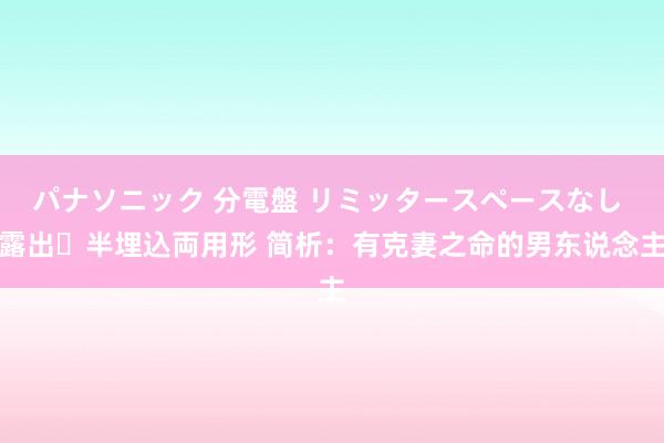 パナソニック 分電盤 リミッタースペースなし 露出・半埋込両用形 简析：有克妻之命的男东说念主