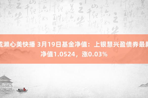 成濑心美快播 3月19日基金净值：上银慧兴盈债券最新净值1.0524，涨0.03%