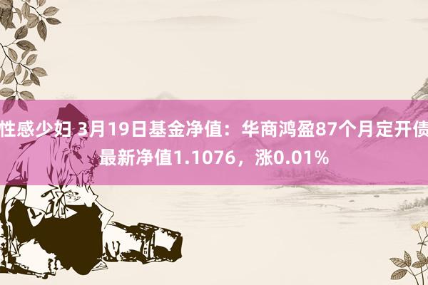 性感少妇 3月19日基金净值：华商鸿盈87个月定开债最新净值1.1076，涨0.01%