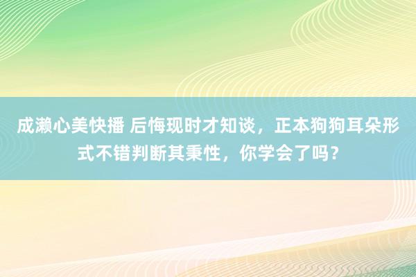 成濑心美快播 后悔现时才知谈，正本狗狗耳朵形式不错判断其秉性，你学会了吗？