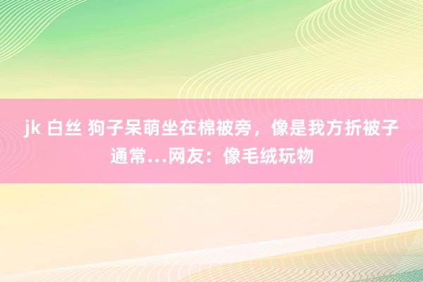 jk 白丝 狗子呆萌坐在棉被旁，像是我方折被子通常…网友：像毛绒玩物