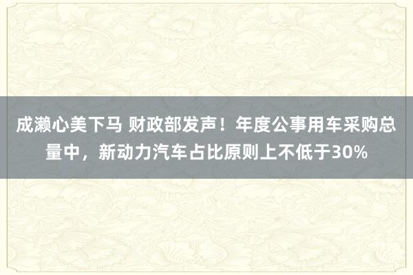 成濑心美下马 财政部发声！年度公事用车采购总量中，新动力汽车占比原则上不低于30%