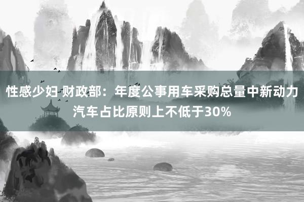 性感少妇 财政部：年度公事用车采购总量中新动力汽车占比原则上不低于30%