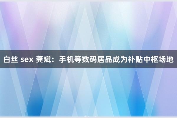 白丝 sex 龚斌：手机等数码居品成为补贴中枢场地
