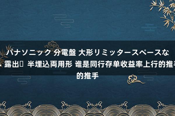 パナソニック 分電盤 大形リミッタースペースなし 露出・半埋込両用形 谁是同行存单收益率上行的推手