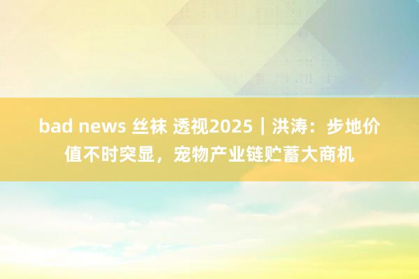 bad news 丝袜 透视2025｜洪涛：步地价值不时突显，宠物产业链贮蓄大商机