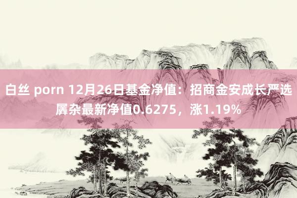 白丝 porn 12月26日基金净值：招商金安成长严选羼杂最新净值0.6275，涨1.19%