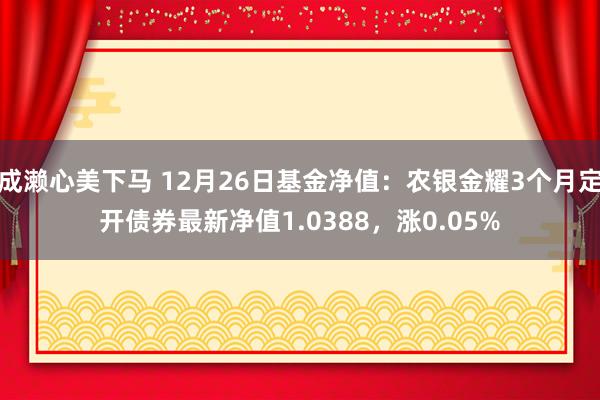 成濑心美下马 12月26日基金净值：农银金耀3个月定开债券最新净值1.0388，涨0.05%