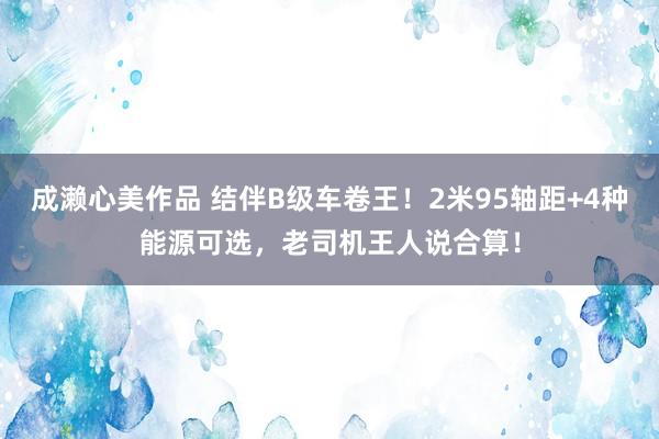 成濑心美作品 结伴B级车卷王！2米95轴距+4种能源可选，老司机王人说合算！