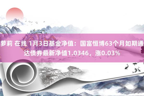 萝莉 在线 1月3日基金净值：国富恒博63个月如期通达债券最新净值1.0346，涨0.03%