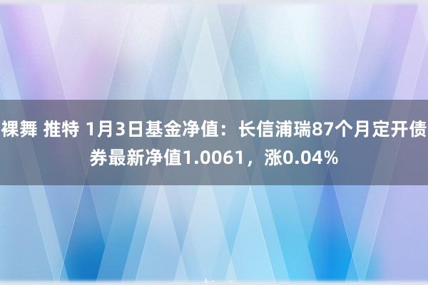 裸舞 推特 1月3日基金净值：长信浦瑞87个月定开债券最新净值1.0061，涨0.04%