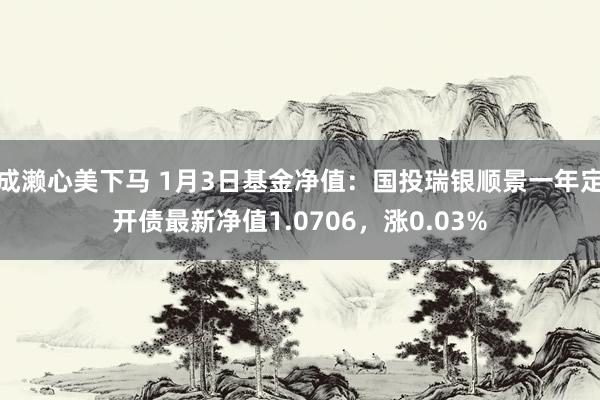 成濑心美下马 1月3日基金净值：国投瑞银顺景一年定开债最新净值1.0706，涨0.03%