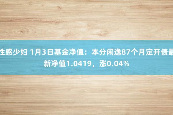 性感少妇 1月3日基金净值：本分闲逸87个月定开债最新净值1.0419，涨0.04%