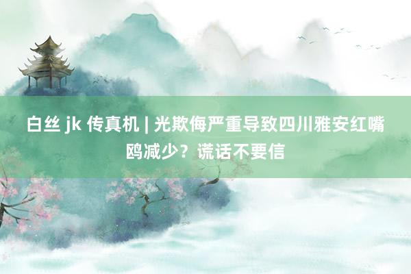白丝 jk 传真机 | 光欺侮严重导致四川雅安红嘴鸥减少？谎话不要信