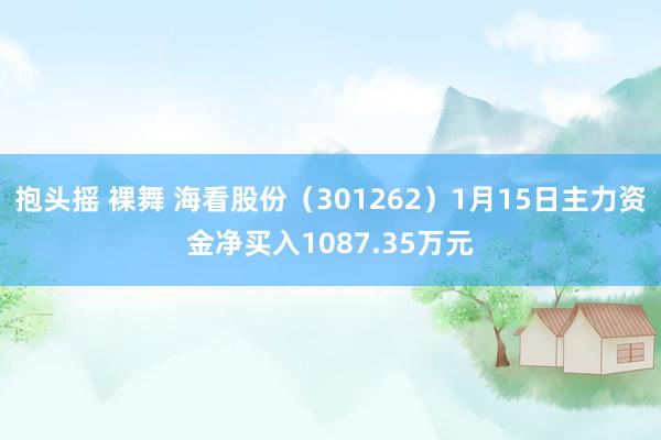 抱头摇 裸舞 海看股份（301262）1月15日主力资金净买入1087.35万元
