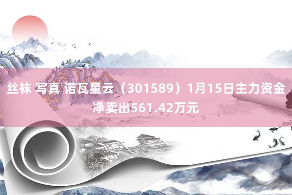 丝袜 写真 诺瓦星云（301589）1月15日主力资金净卖出561.42万元