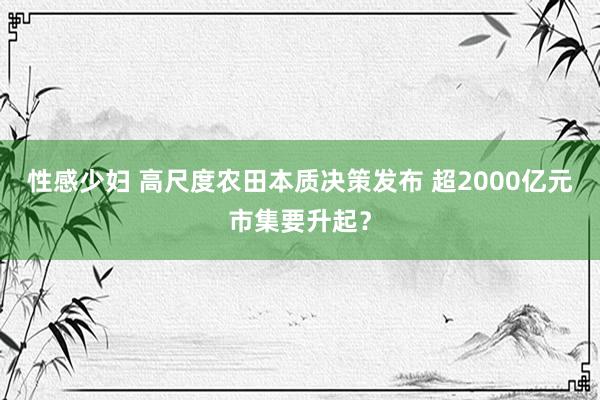 性感少妇 高尺度农田本质决策发布 超2000亿元市集要升起？