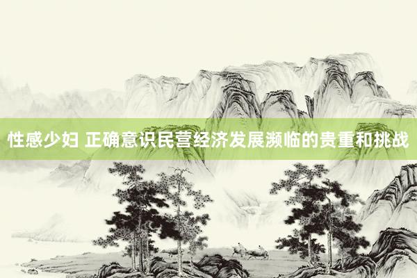性感少妇 正确意识民营经济发展濒临的贵重和挑战