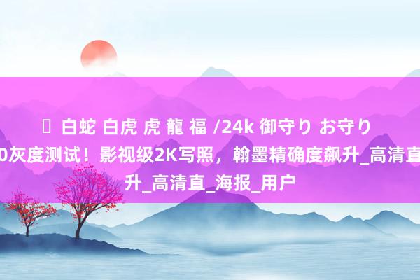 ✨白蛇 白虎 虎 龍 福 /24k 御守り お守り 字节即梦3.0灰度测试！影视级2K写照，翰墨精确度飙升_高清直_海报_用户