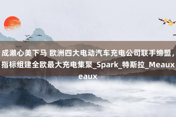 成濑心美下马 欧洲四大电动汽车充电公司联手缔盟，指标组建全欧最大充电集聚_Spark_特斯拉_Meaux