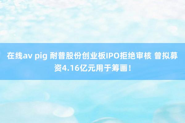 在线av pig 耐普股份创业板IPO拒绝审核 曾拟募资4.16亿元用于筹画！