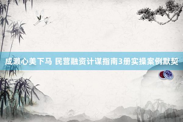 成濑心美下马 民营融资计谋指南3册实操案例默契
