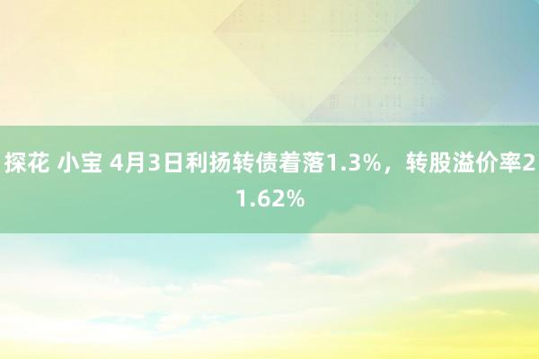 探花 小宝 4月3日利扬转债着落1.3%，转股溢价率21.62%