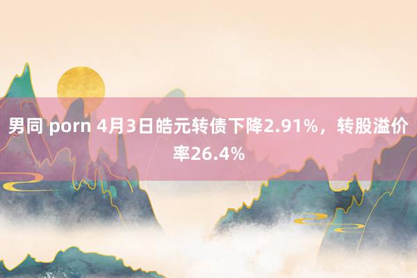 男同 porn 4月3日皓元转债下降2.91%，转股溢价率26.4%