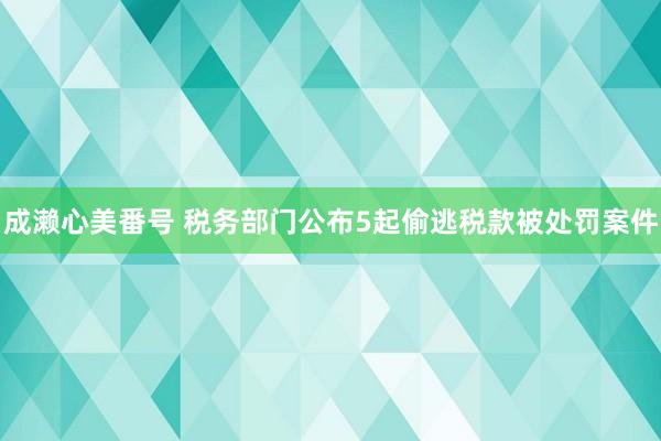 成濑心美番号 税务部门公布5起偷逃税款被处罚案件