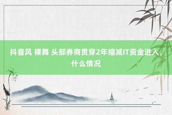 抖音风 裸舞 头部券商贯穿2年缩减IT资金进入，什么情况