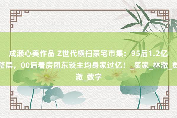 成濑心美作品 Z世代横扫豪宅市集：95后1.2亿扫整层，00后看房团东谈主均身家过亿！_买家_林澈_数字
