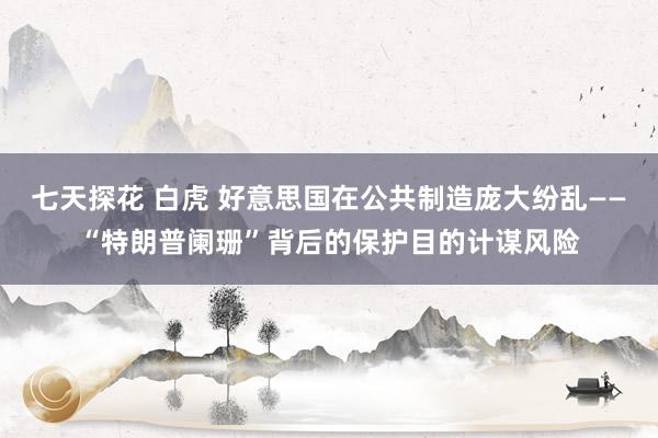 七天探花 白虎 好意思国在公共制造庞大纷乱——“特朗普阑珊”背后的保护目的计谋风险