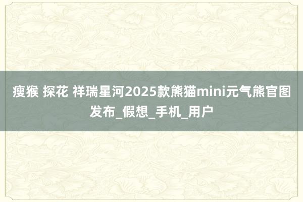 瘦猴 探花 祥瑞星河2025款熊猫mini元气熊官图发布_假想_手机_用户