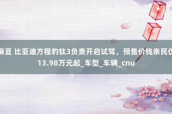 麻豆 比亚迪方程豹钛3负责开启试驾，预售价钱亲民仅13.98万元起_车型_车辆_cnu