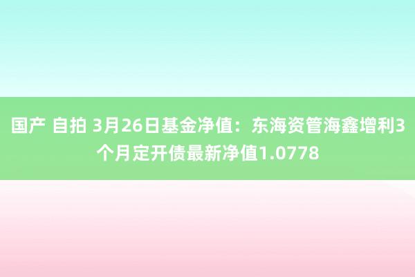 国产 自拍 3月26日基金净值：东海资管海鑫增利3个月定开债最新净值1.0778