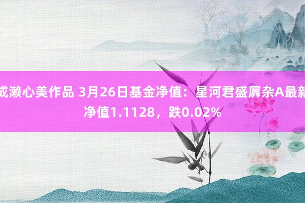 成濑心美作品 3月26日基金净值：星河君盛羼杂A最新净值1.1128，跌0.02%