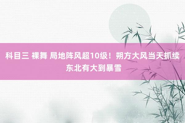 科目三 裸舞 局地阵风超10级！朔方大风当天抓续 东北有大到暴雪