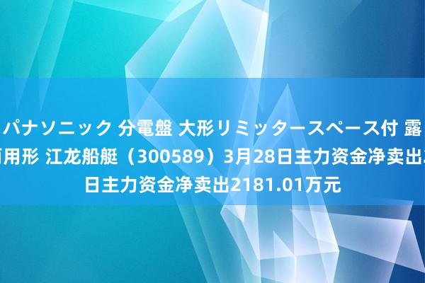 パナソニック 分電盤 大形リミッタースペース付 露出・半埋込両用形 江龙船艇（300589）3月28日主力资金净卖出2181.01万元